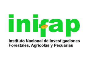 Imagen 6